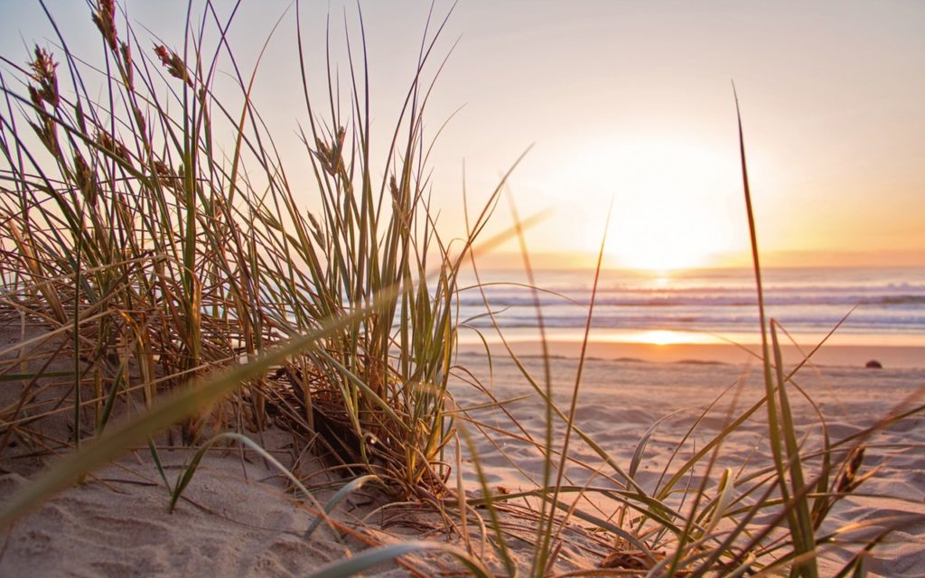 Een strandwandeling: ideaal om te ontspannen